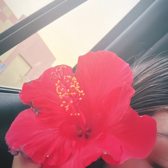 Meet your Posher, Sophia - Picture 1 of 1